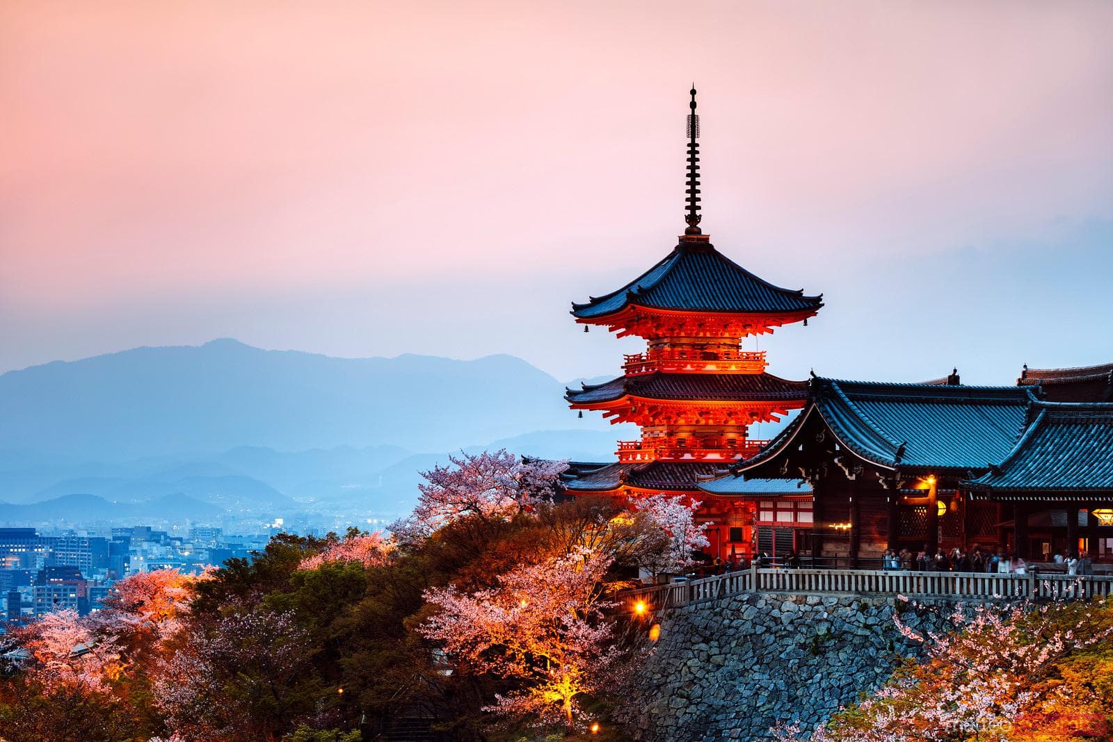 Kiyomizu-dera pagoda illuminated at dusk with cherry blossoms and Kyoto skyline