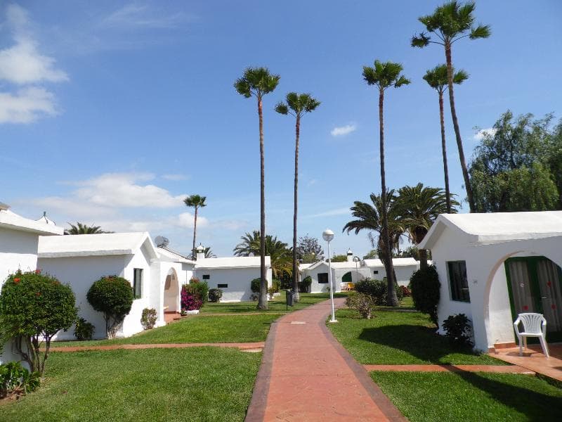 Canary Garden Club photo 2