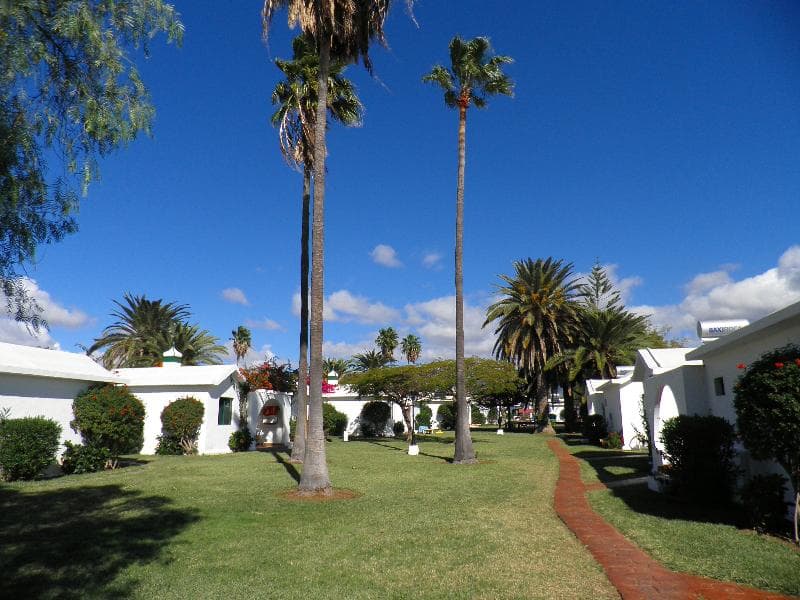 Canary Garden Club photo 4