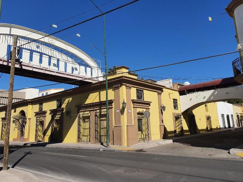 Suites Kino  photo 4