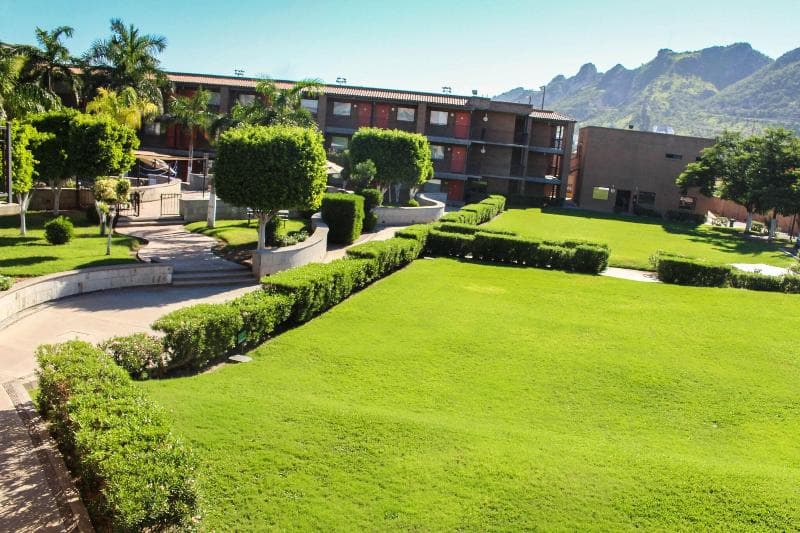 Colonial Hermosillo photo 4