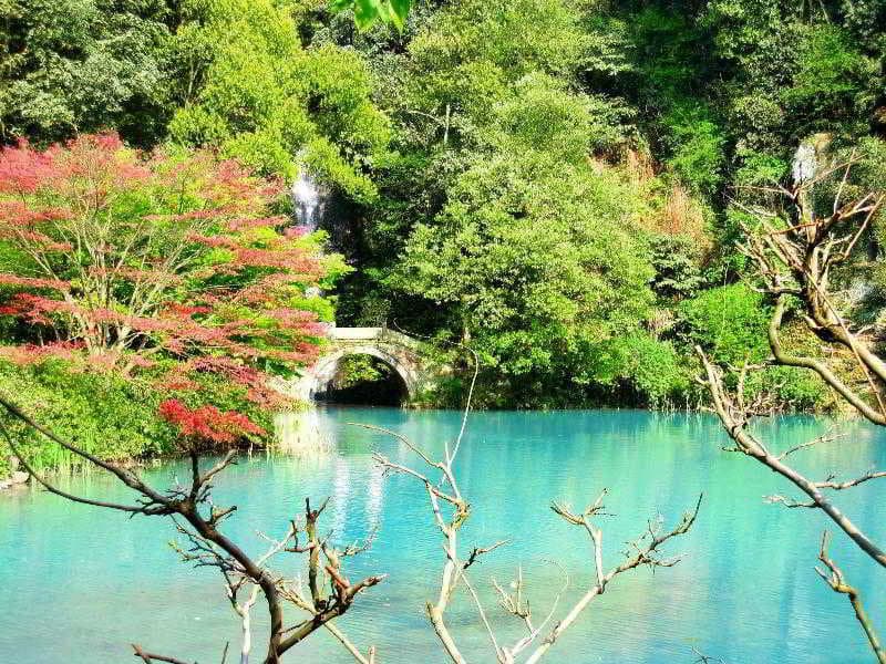 Four Points By Sheraton Hangzhou photo 5