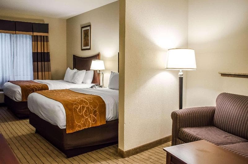 Comfort Suites Mobile West Tillmans Corner photo 5