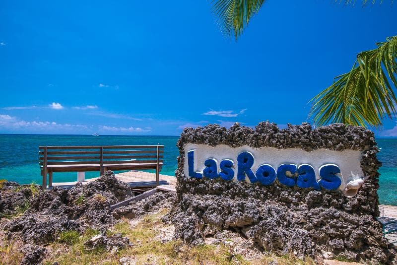 Las Rocas Resort & Dive Center photo 4