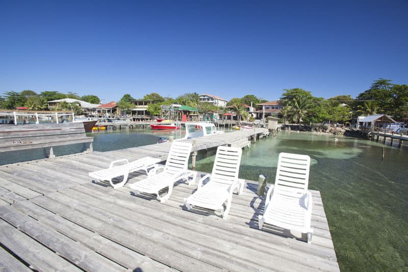 Splash Inn Dive Resort photo 2