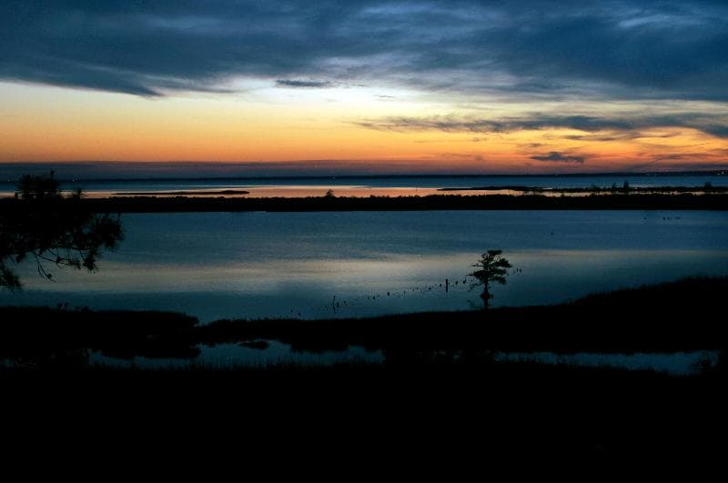 Hampton Inn Mobile-East Bay/Daphne