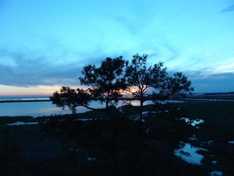 Hampton Inn Mobile-East Bay/Daphne photo 3