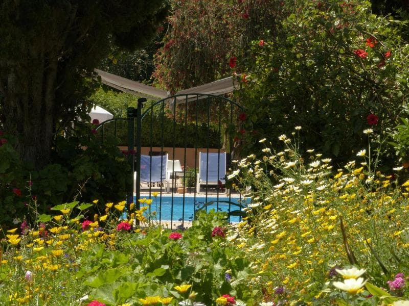 Villa Mandarine photo 3