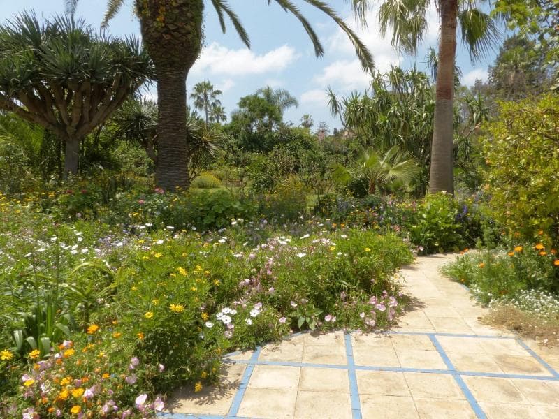 Villa Mandarine photo 4