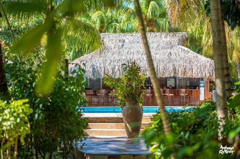 Anthonyas Key Resort photo 4