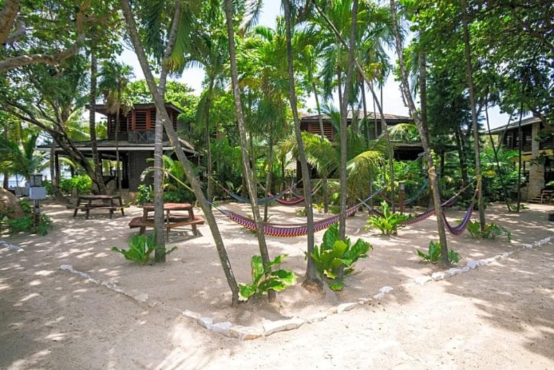 Bananarama Dive Beach Resort photo 4