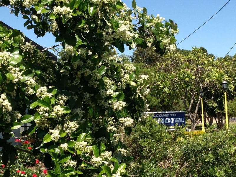 Boggabilla Motel photo 2