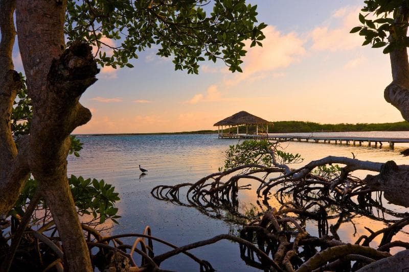 Barefoot Cay Resort photo 5