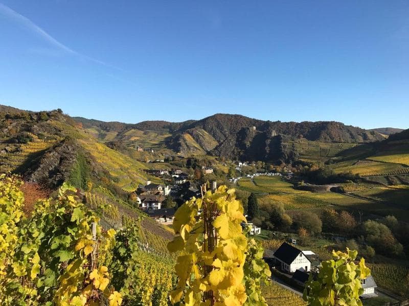 Hotel Ahrbella photo 3