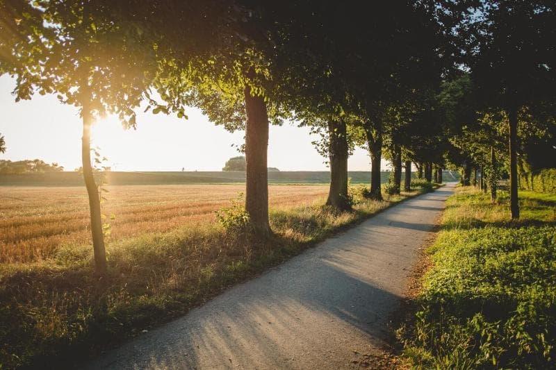 Zum Vater Rhein photo 2