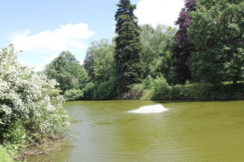 Burg Heimerzheim photo 3