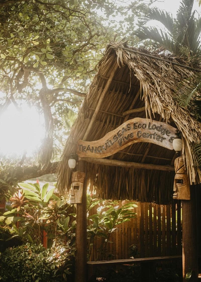 Tranquilseas Eco Lodge & Dive Center photo 3