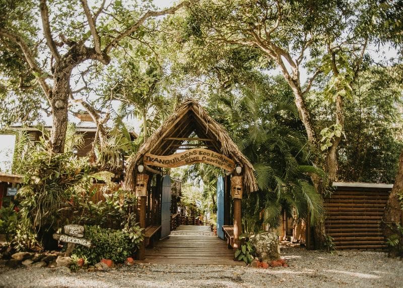 Tranquilseas Eco Lodge & Dive Center photo 4