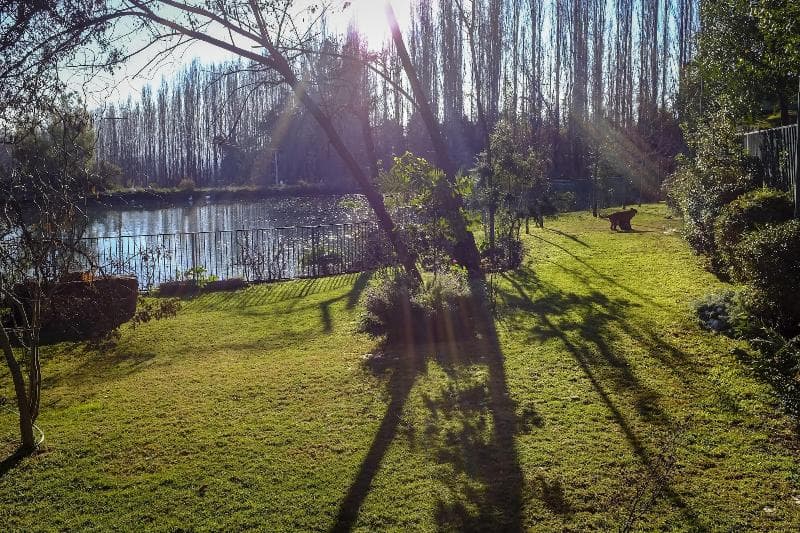 Termas el Corazon photo 2