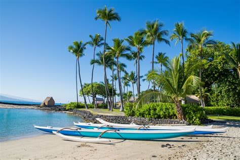 Kona Hawaii outrigger canoes and palm trees